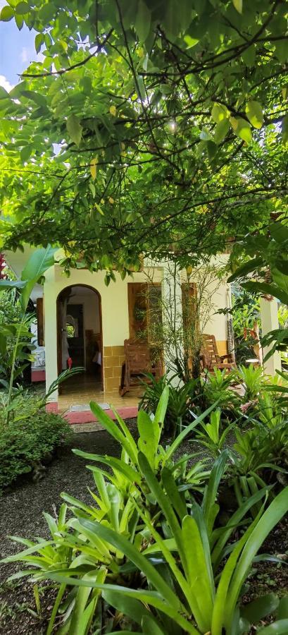 Cabinas Tito Lodge *