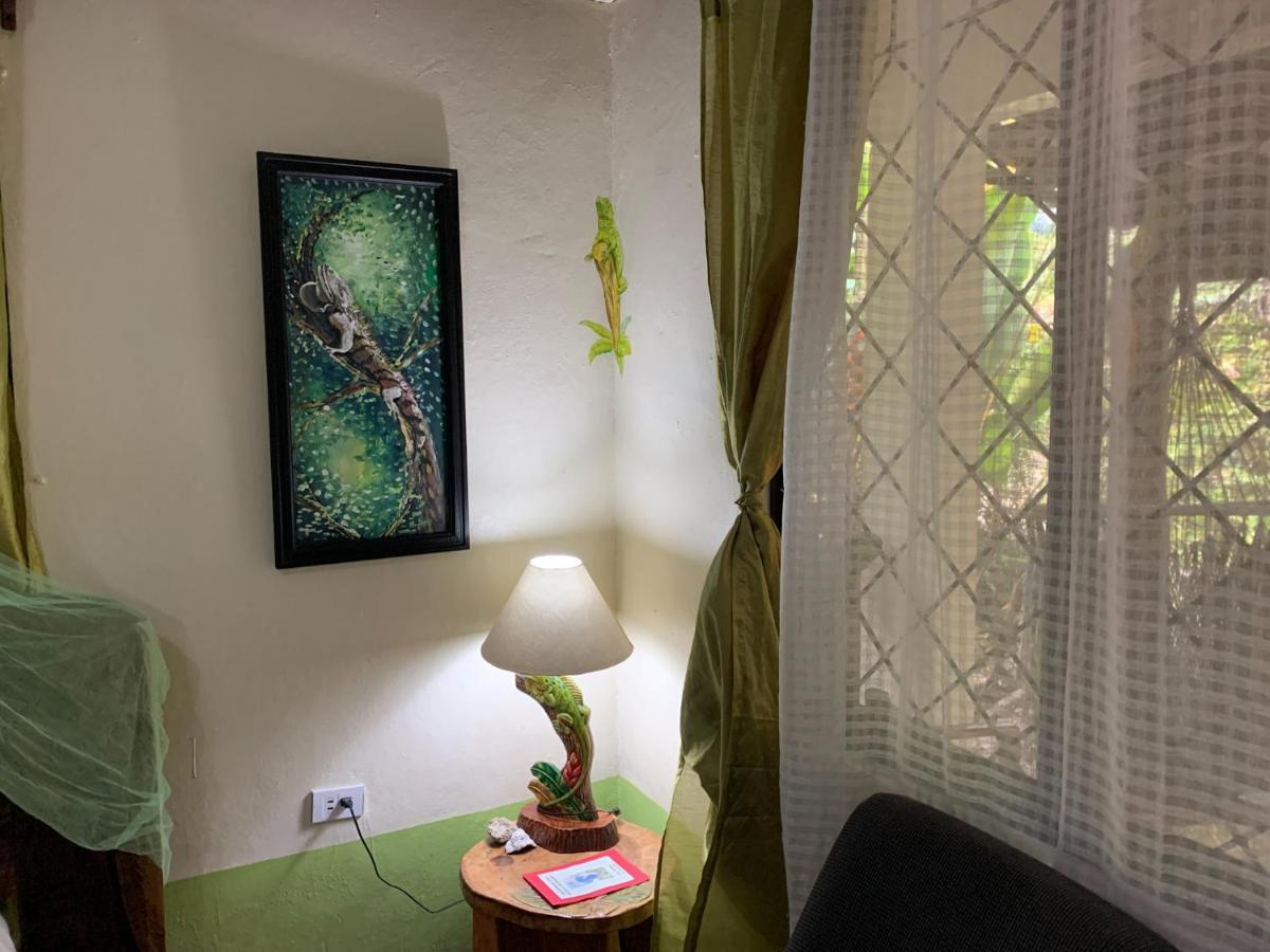 Cabinas Tito Lodge