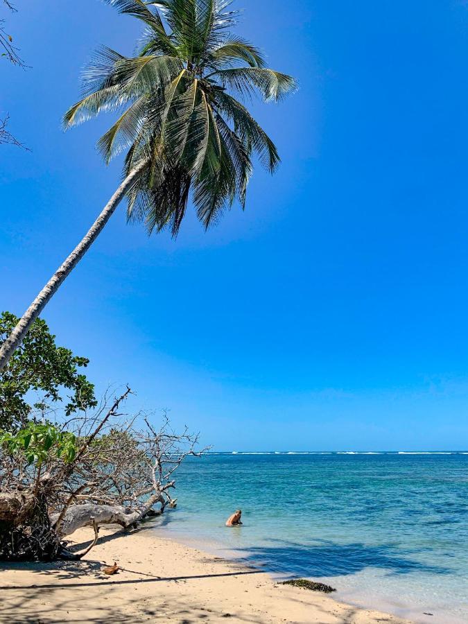 Cabinas Tito * Cahuita