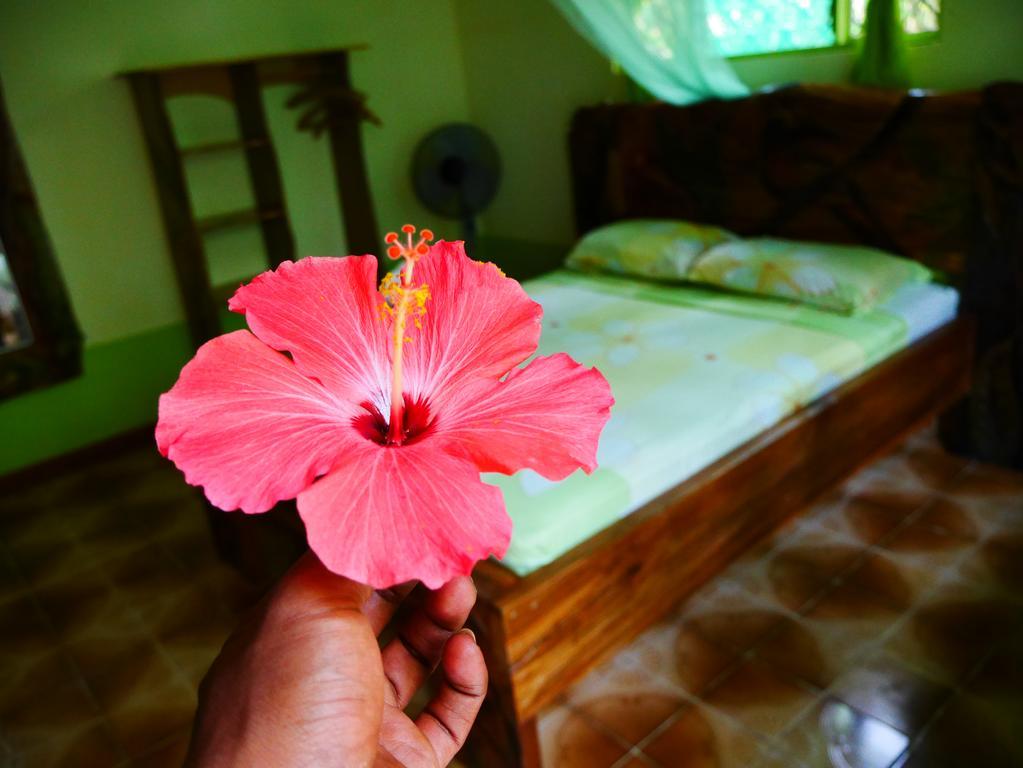 Lodge Cabinas Tito Cahuita