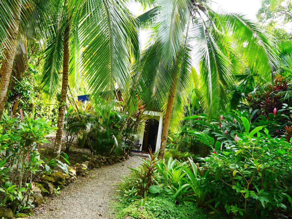 Cabinas Tito Cahuita